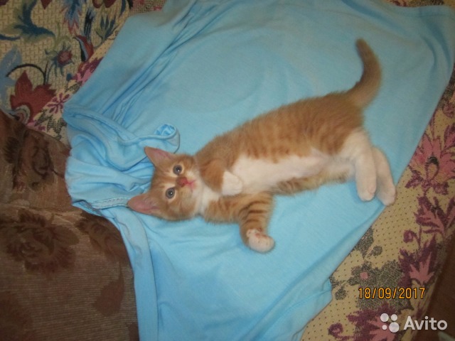 ����� ������ � ������ ����