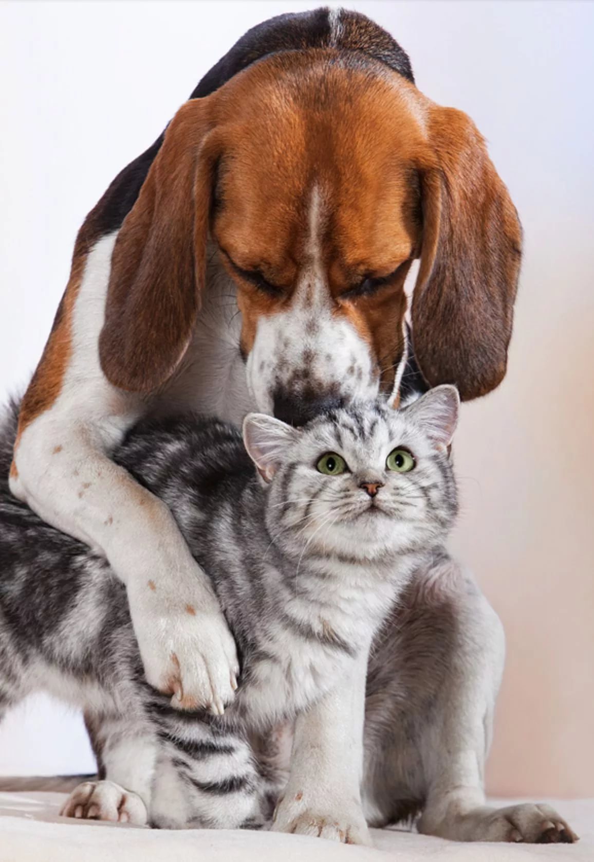 ���� �� 06.10. ������� ����������� ��� ����� � ����� �� �����, ���������, �������, ������, �������, ��������������� ������, ��������, �������� ����� � ������. ���� 36.