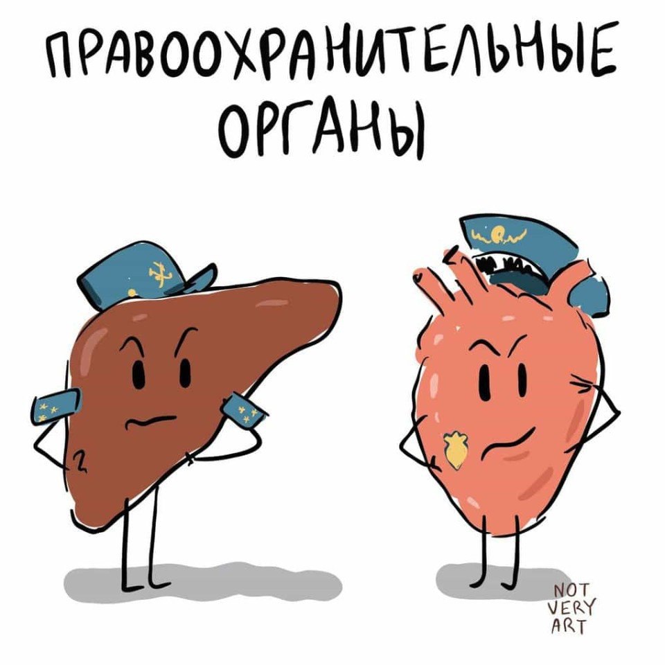 ���������� � ������� ����������� �� ���� ��������� �������� �����