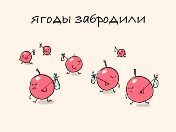 ���������� � ������� ����������� �� ���� ��������� �������� �����