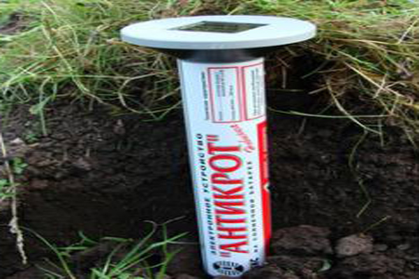 �������� �������������� ����������� ������������ ������ �� ��������� ������� �������� ������