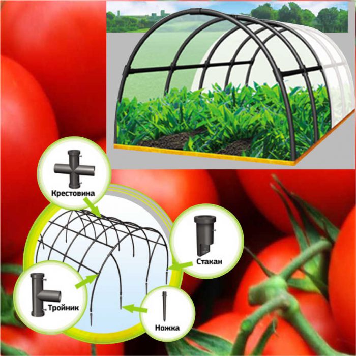 ����������� ������� ������� ������ �� 5 �������������� ��� ����, ���� � �������