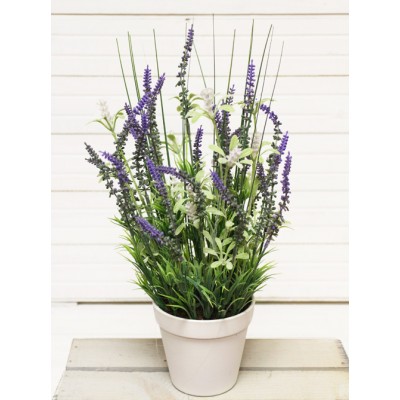 �������������� ������� ! ! !   ������� h-38 � ������ d-11 �� 699 �.