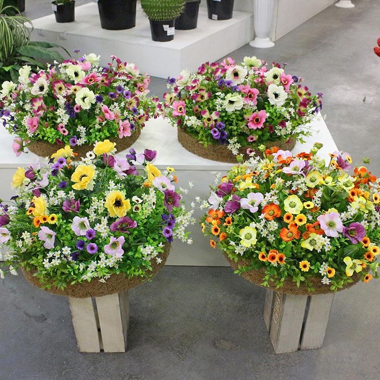 ��� ����� ��������� ������ ����������� ��� �����, �� ���� ������ �������� ����� !!!