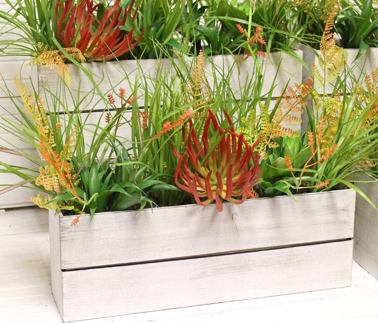 ��� ����� ����������� ���������� ���������� �� �����! � �� ������ �������� �����!!!