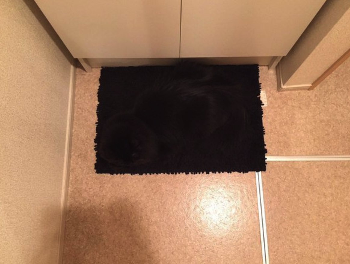 ���� ����� �������� �� ������, �� ������ ��������� �� ����