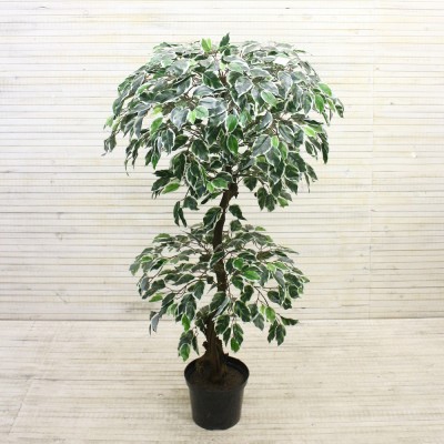 ����� ������� �� ��������������� ����� � ������� ����� �������������!