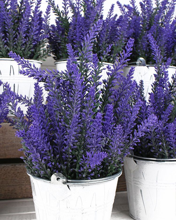 ���� ������ �������?? ������ ������ ����� �������� 8 ���������!!!  (��� ������, ������ ��� ����� ������!!!)