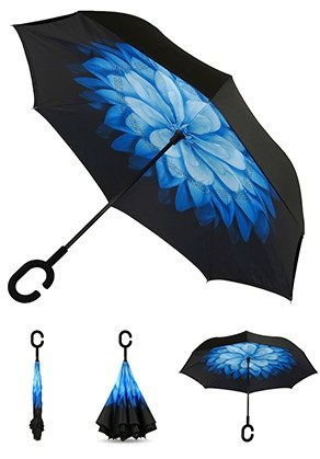   ���� �������!���� ��������! ��������� ������� ������� � ������!