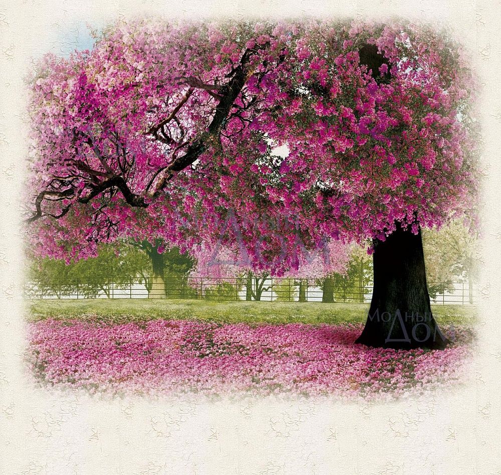 [b]���� �� 22.10 ���������! ���� ���� ��� �����! ���� ����� ������� ������� �������. ���������� 70-80%. ������ ���� ������ ����������! �������, ��������, ������,��������, ��������. �����-50[/b]