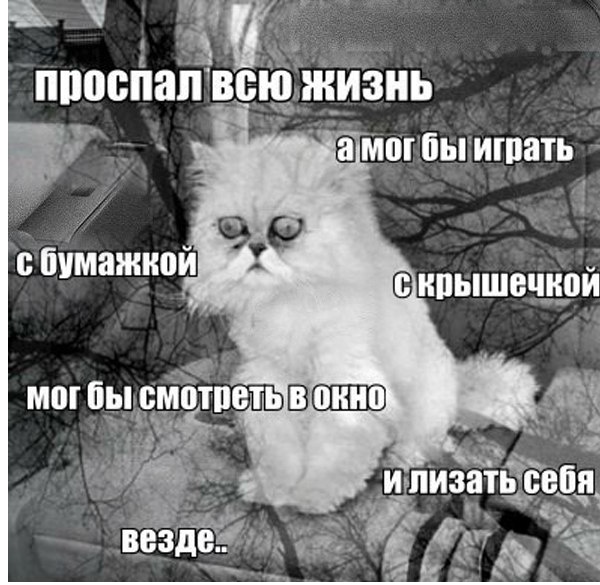 ����������������...