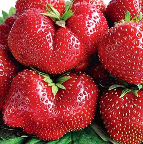 ���� �������. ��������� 12 (�� �����).