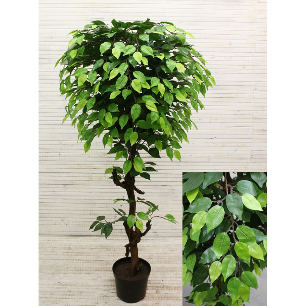 ����� � ����� ����� ������- ��� ���� ������! ����� ������� �����, ����� 80 ��������, � ��� ����� �������� ����� ������, ��ߣ� ����� � �����!!