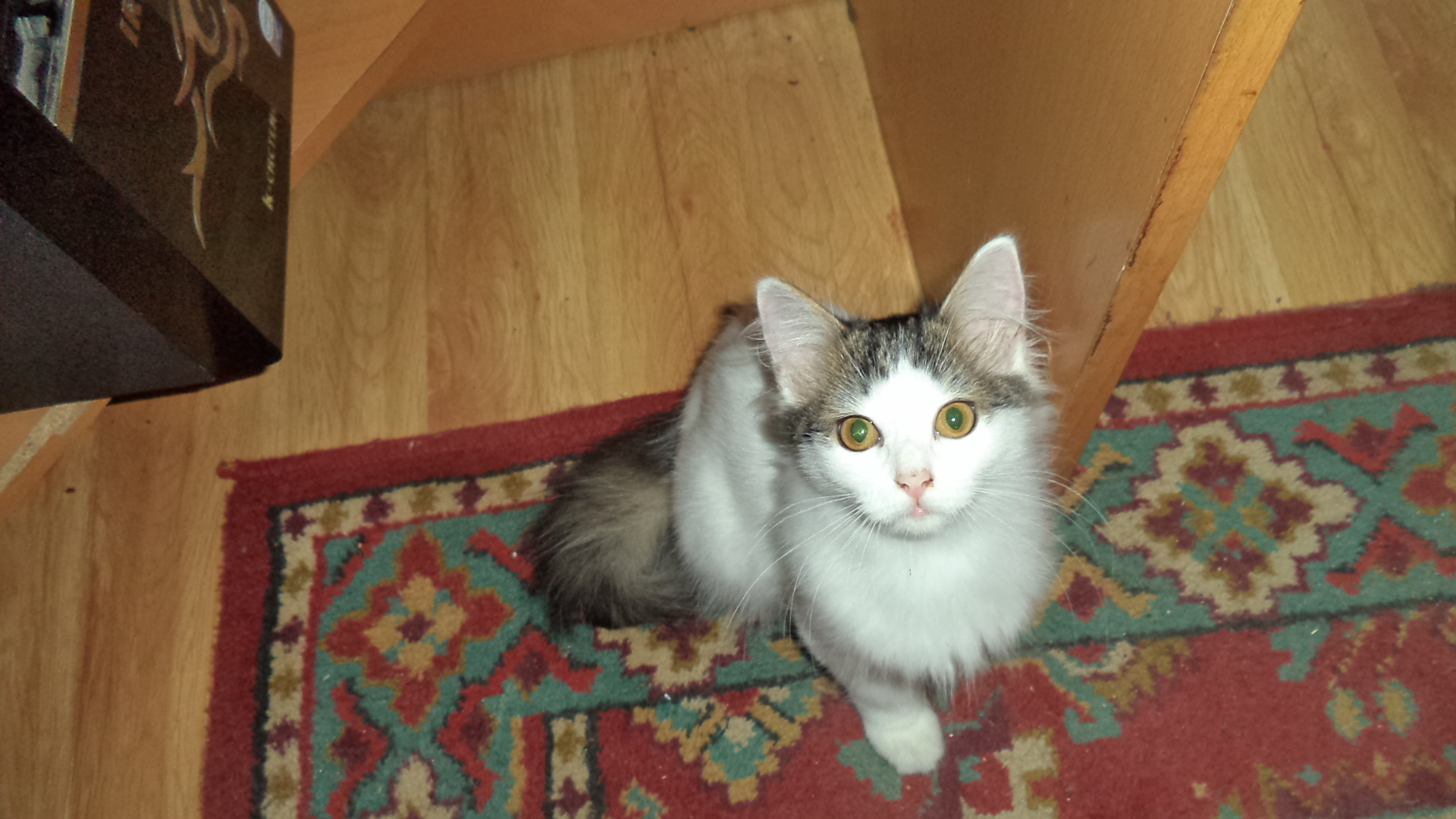 ������ � ������ ���� �� ��������� ��� ����� ����