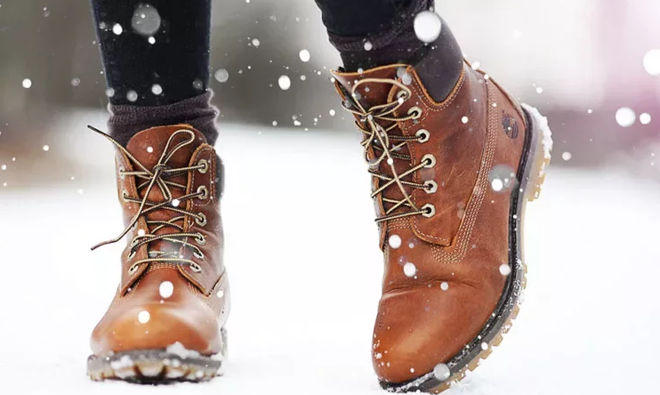 �������� ������ �������, ����� �� �����, �������, ���������. ���. ���� ��� �����