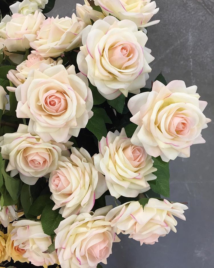 �������!!! ����������� �������, �� �� ������� �� �������� �� ���������, ����� �� ���������� �������