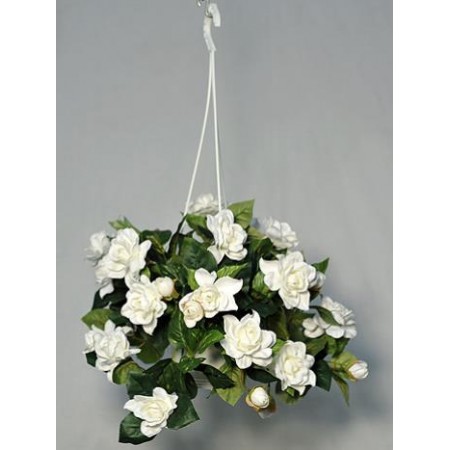 ����������� ������!!! �������� ���� ����� ��  365 �. ������ 2184�.!!!  ����� ������� �����!