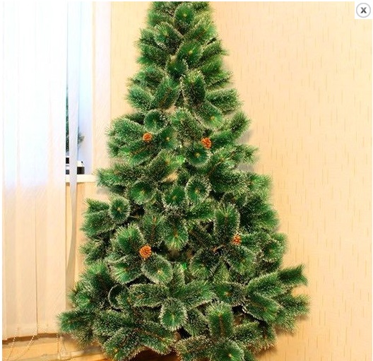 ��������,��������� ���� �������� � ������� �������������