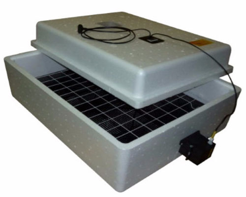 �������� ��������� �� 36 ��� ������� �� 1� 220 � � �������������� ��������� � �������� �����������