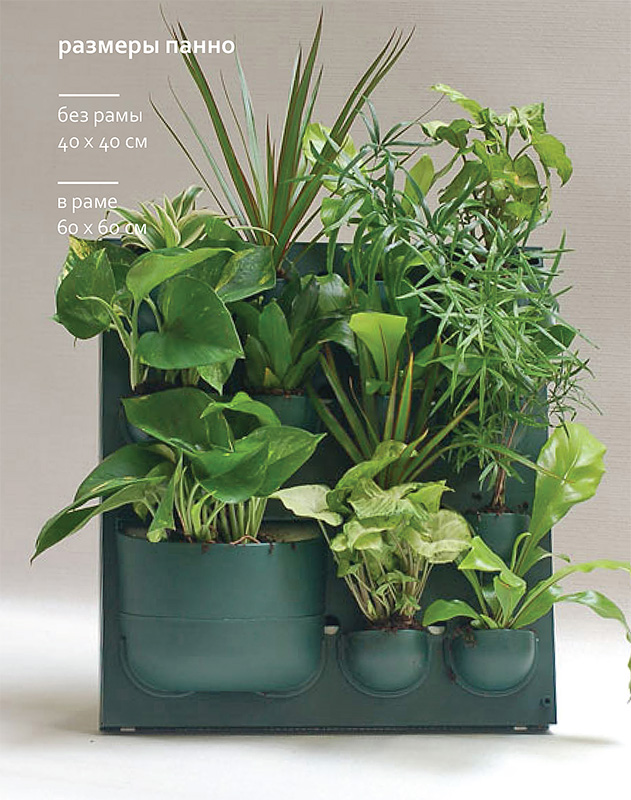 ���� �� 06.11. ������, ���� ����� � ������ �������.�����, ����������, �������� ������. ������ ��� �������, ����� � ����������, �����������. �����������. ���������,������ ��� �������,������ � � �����������.��������.���������� ��� ������.���� �� 2���