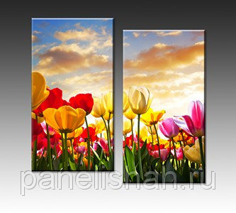 [B] ���� �� 10 ������ . ��������� ������� �� ��������� ����������: �����, �������  [B]