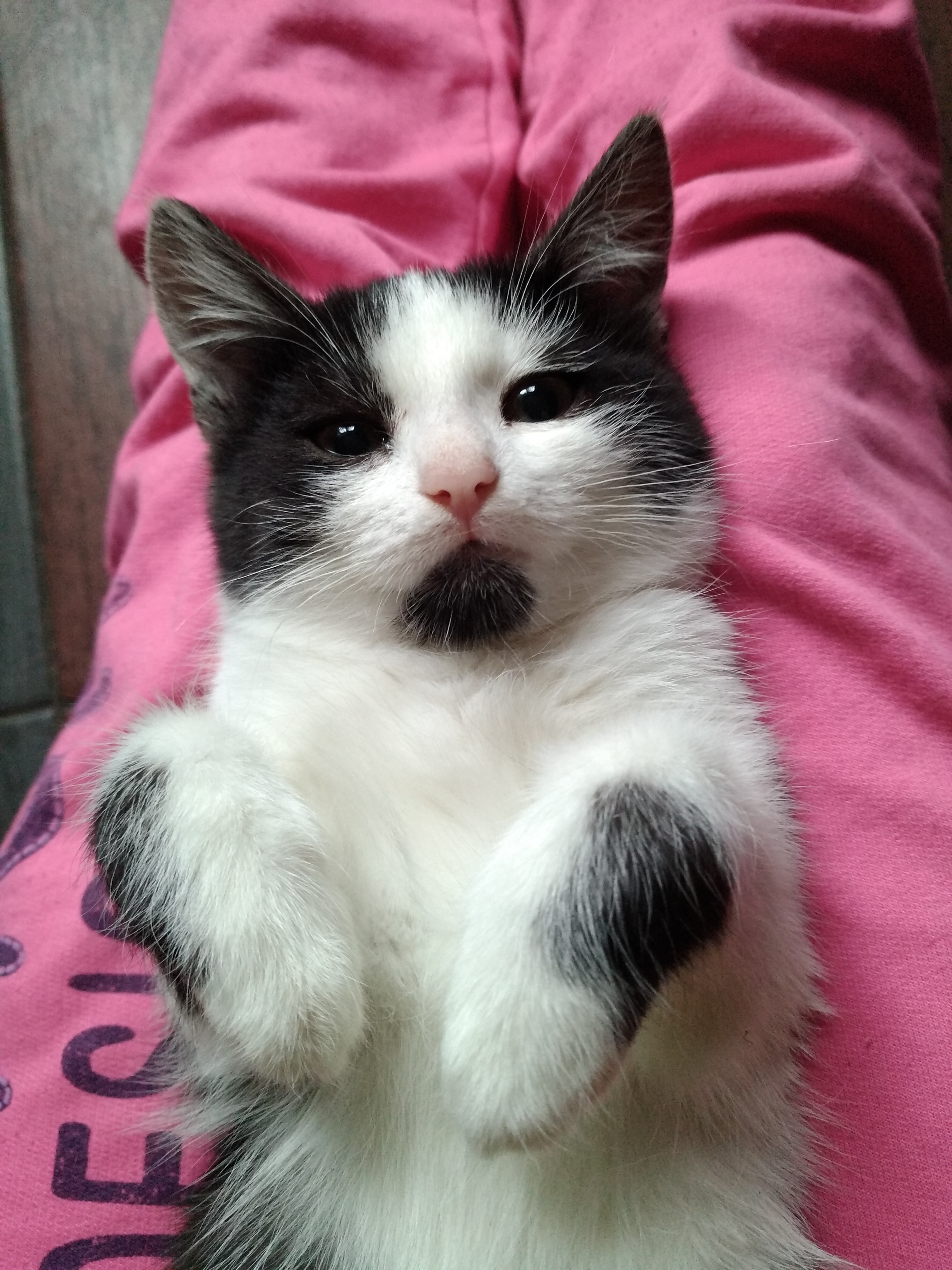 ����� ������. �������� ���������� �����