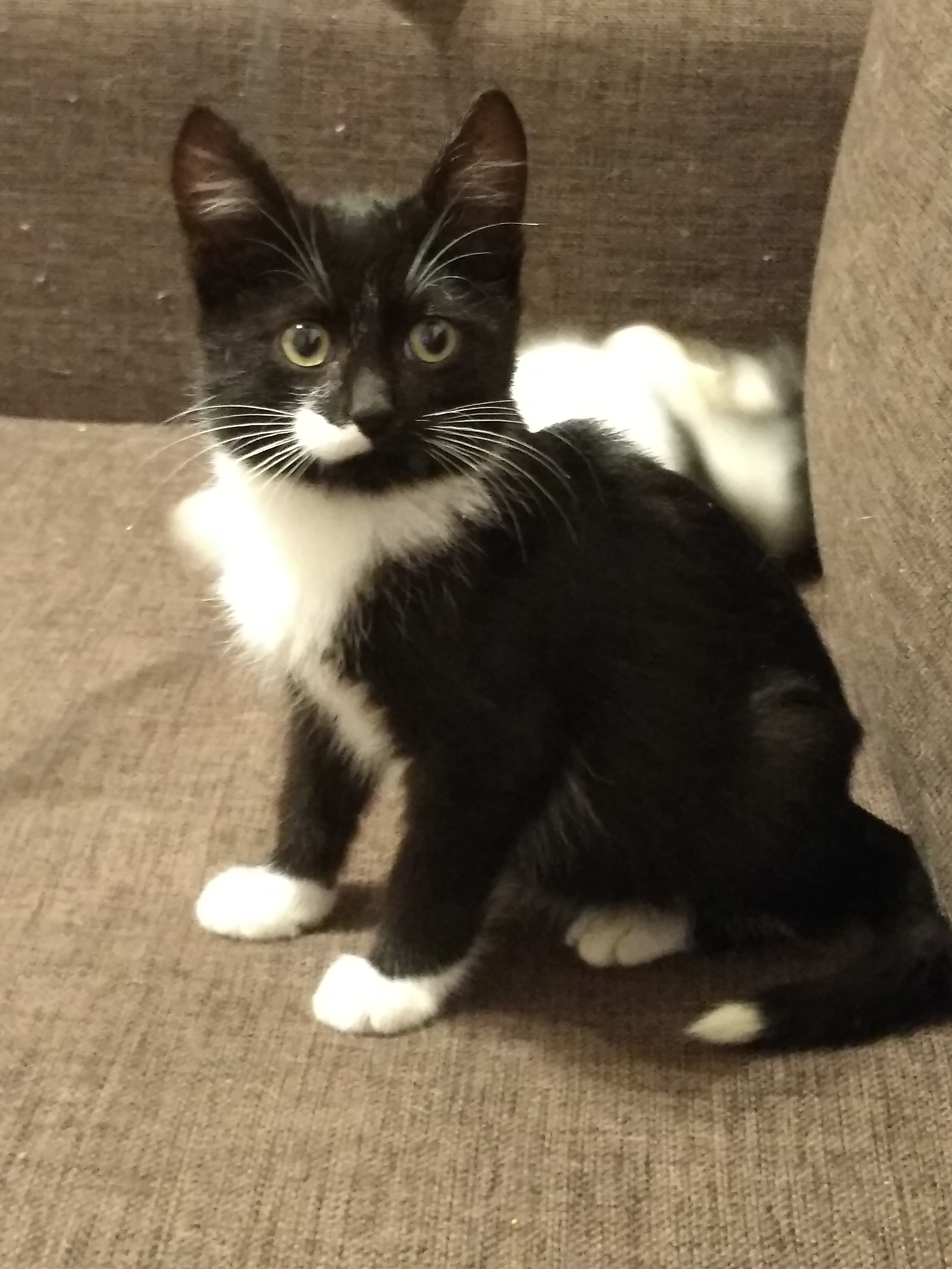 ����� ������. �������� ���������� ���� �����.