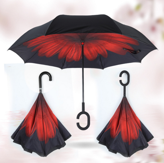 ����-����������, ��������, ����-��������.