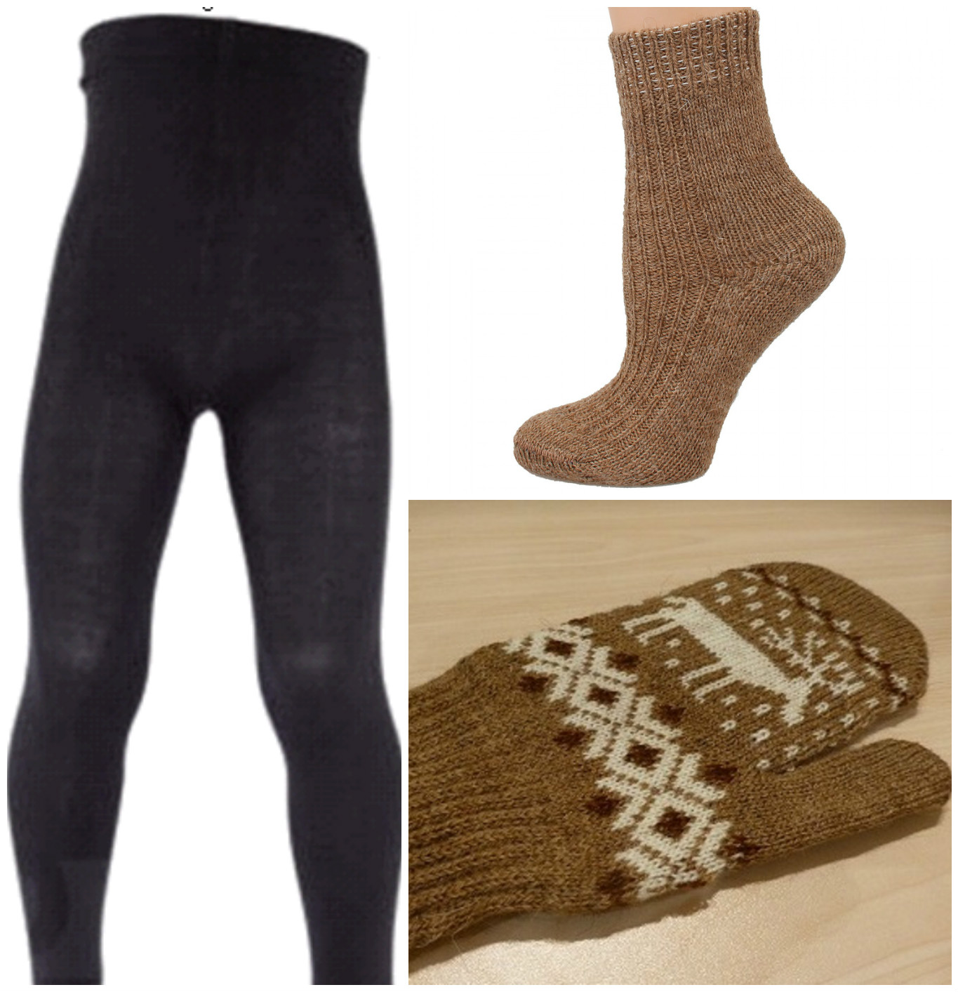 ���� �������. ������� ����������� ��������, �������, ����� �� ������� ������. ���� ������� ��������, ����� � ��������. ����� 3.