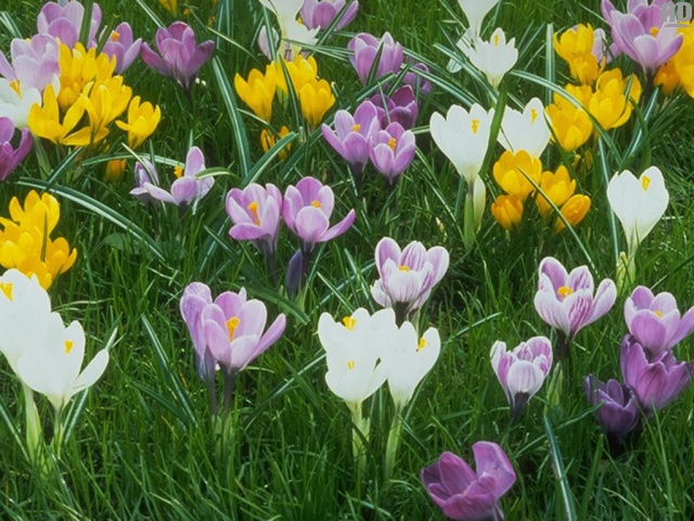 �������10�1.���.��.��-1,��-5,��.��.��-1,����-6,��-88,���-��-99,�����.,����-����,�0�@