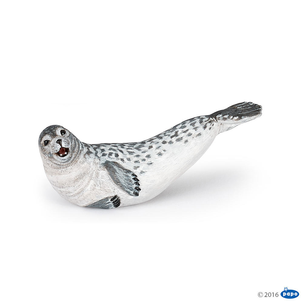 ���� �� 30.10. ������ 3 ���! ����������! ������� ������� P�*po. ������ 50%! ��������� ���, ���������, ������, �������� � ����� ��������, ���������, ����� � ������! ������� �� ����� ������������! ����� 350 �������!