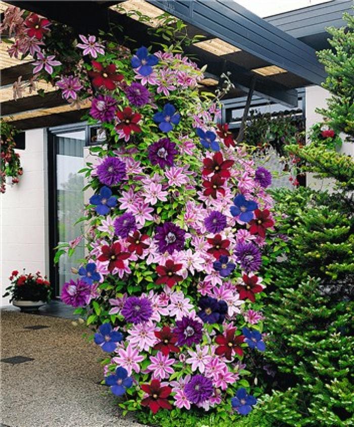 ���� ������� �� 26.11 - ���o��r�� �o�ck - ������� ������ � �������� ���! - ����, ���������,����� - ��������� �� ����� 2018