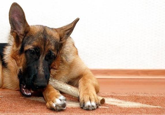 ������������� �������� ������� �������� ��� �����. ������ ������ ���.13% �� ����������!