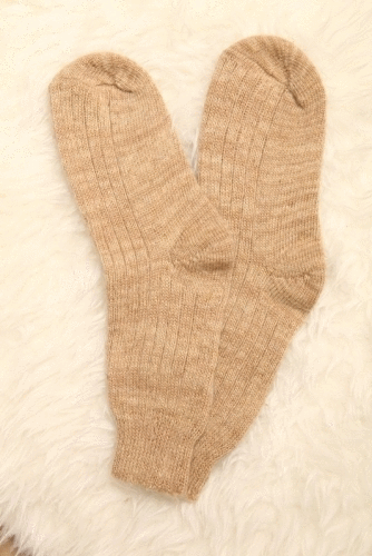 ���������� ����������� ��������� �� ���� ;)