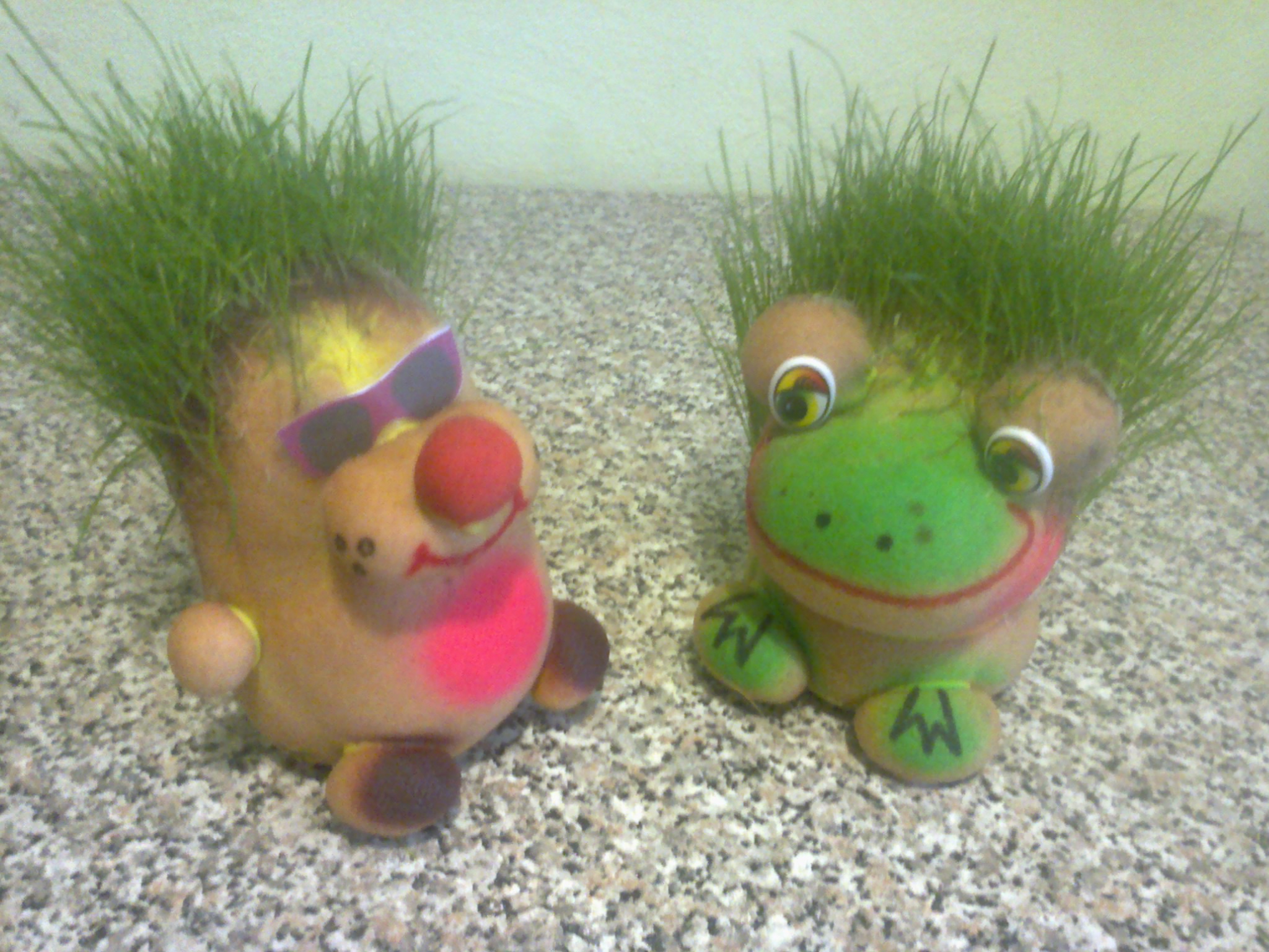 ��������� ����������� ������ � ���� ;) ��� ����� � ����� � ��������!