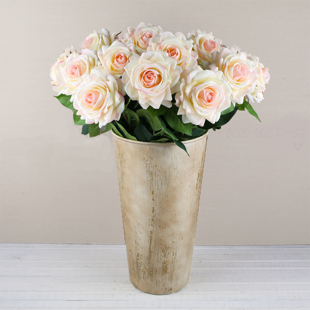 ����� �� ���������� �������, ������� ��������,  ����������!