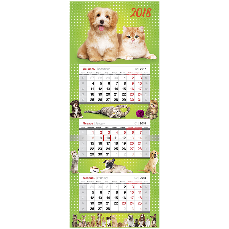 ���� �������. �������� ��������� �� 2018 ���