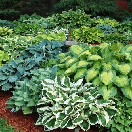 ���������� �� ������� ��������