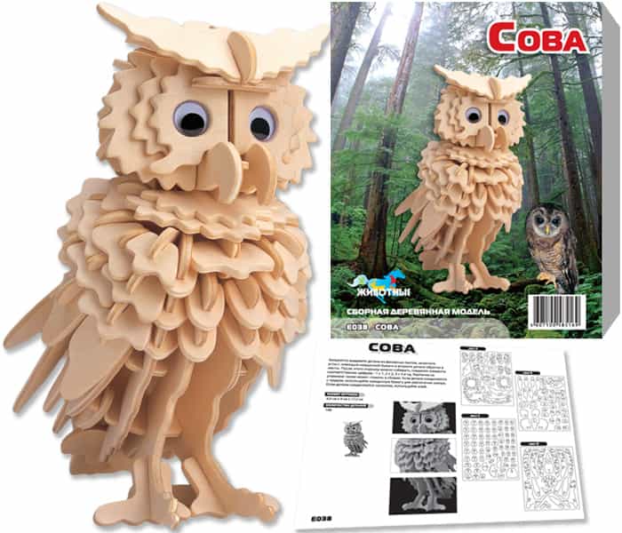 ������������� ����������� "����". ����������� ��������� �������� ���, �����������, ��������������, ���������������� � ����������� ��������. 