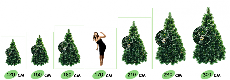 ������������� ������ ������ � ����������� ���������� �� 60 �� �� 3 �. ���� - ������!