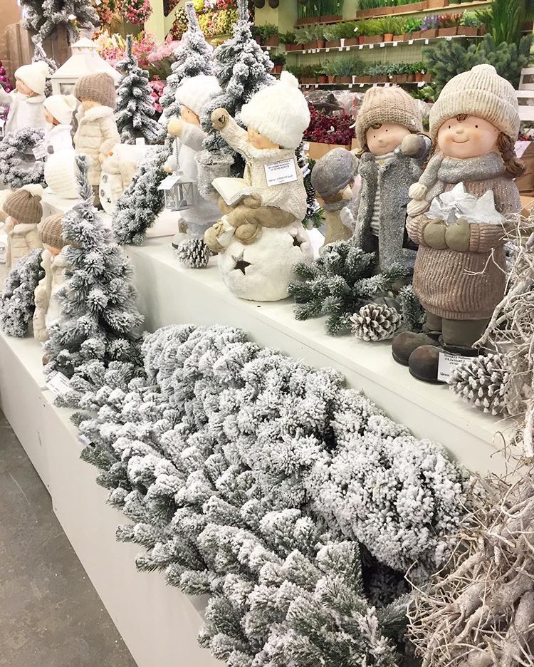 ��������� � ���������� �������, ����� ������!!! ���� ����� ������, ����� �� �����!!!