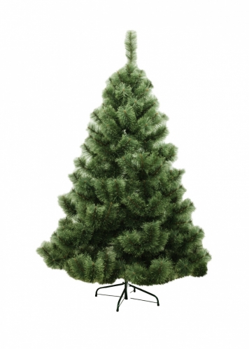 ���� �� 12.11. ����� ����� ���! ���, ����, ������, �����! �� 30 �� �� 2,4 �! ������������ �� ������� ���� ������!