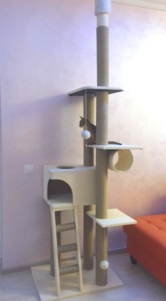 ���� �� 15.11. ������, �������, ��������� �� ����� ������. ����������, ��������� ��� �����, ������, ��������� ��� ����� - ������� ������ ���. ����� 52