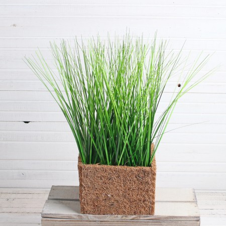 ��������� ������� � ������������� ������ (�� ��������� ������ ���� ����� ����!) �������� ��� ������ �� ������!!!