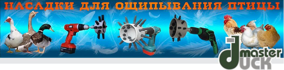 ��� Duckmaster �����ߣ���� ������� �� ����� ��� ���������� �������� ����� � ������� ������