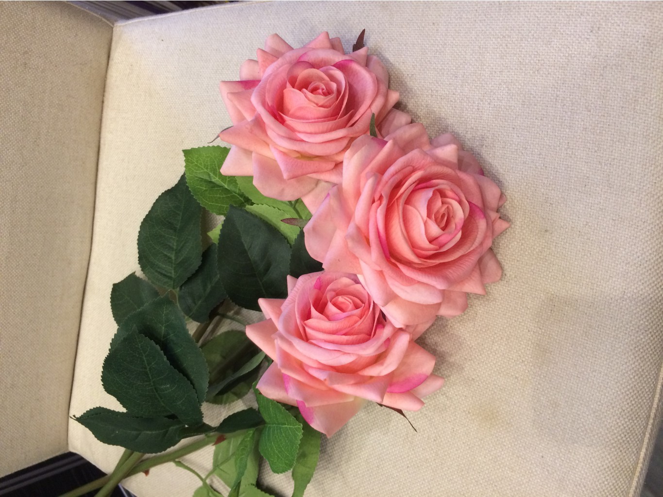 ������ ����� ������ �� ���������� �������! ����������� �������, ��� ����������, ����� �� ���) ������ ����������)