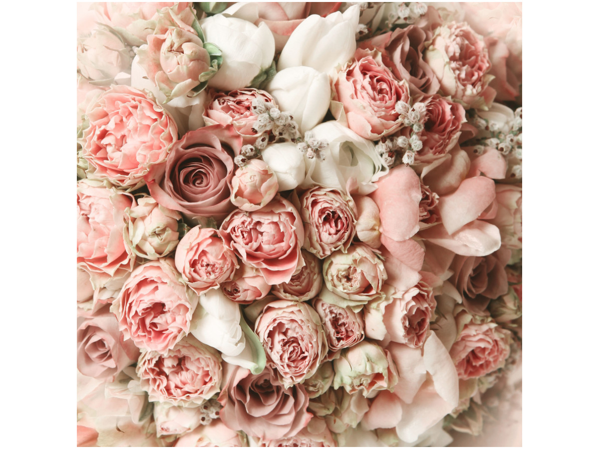 ���� �� 20.11. ��������! �������� �����! � ����� ����. ���� ����������! - ������