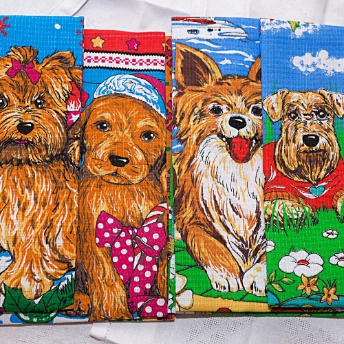 �������� ����� "������ ���� - ������" (��������� ���. 50x63 - 3 ��) ����� 90 ���!