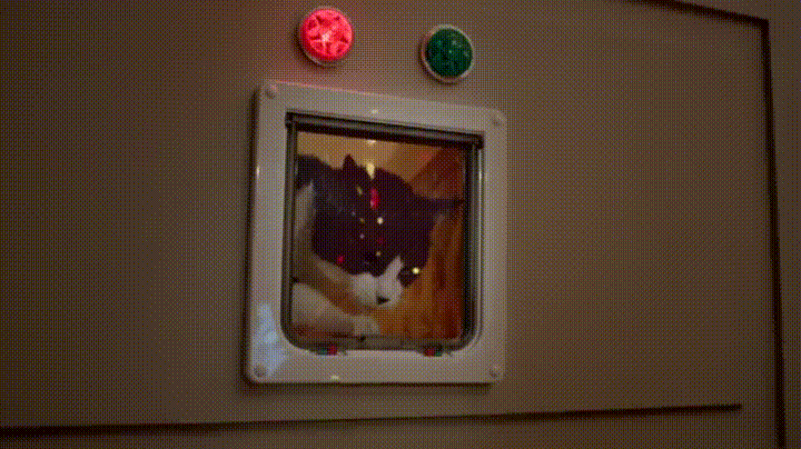 �������������� ����� �����