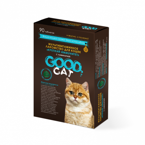 ���-���-���! ��� ��������! 